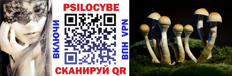 закладки  Камешково  Галлюциногенные грибы Cubensis 